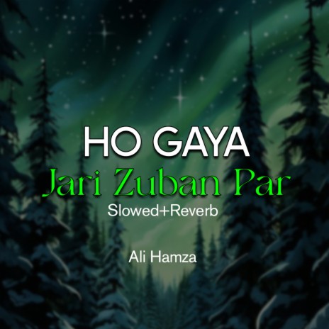 Ho Gaya Jari Zuban Par Lofi | Boomplay Music