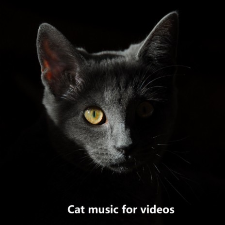 Don't Sweat it ft. Kittens Music, Dog Music & Кошачья музыка | Boomplay Music