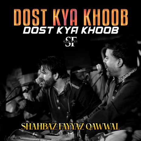 Dost Kya Khoob Wafaon ka Sila Dete Hain | Boomplay Music