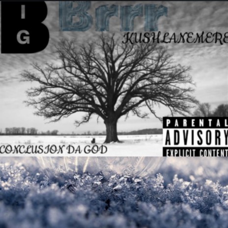 BIG BURR ft. KUSHLANEMERE | Boomplay Music