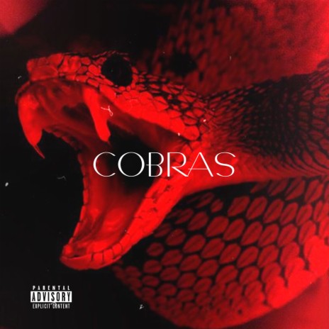 COBRAS ft. Ximenes, prodbynaf, Rabelean & Mc Magrin da ZS