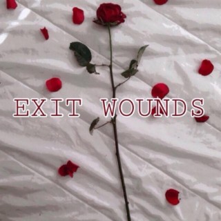 Exit Wounds