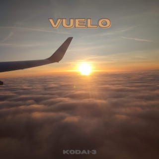 Vuelo