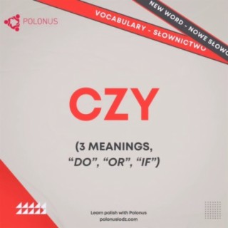 Understanding the Versatility of "Czy" in the Polish Language | Learn Polish Podcast - Episode 451