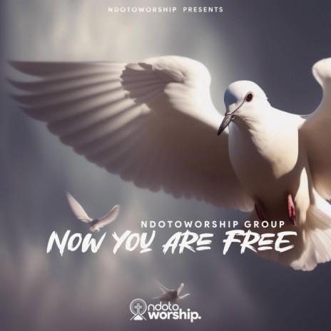 Now You Are Free ft. Sakina | Boomplay Music