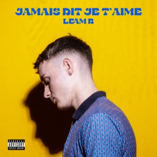 Jamais Dit Je T'aime lyrics | Boomplay Music