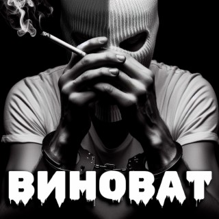 Виноват