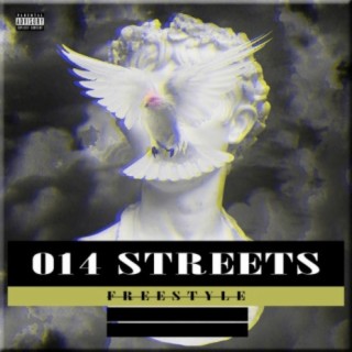 014 Streets Freestyle