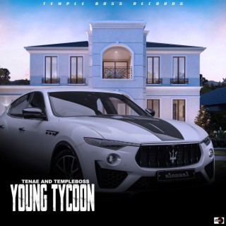 Young Tycoon
