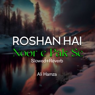 Roshan Hai Noor e Pak Se Lofi