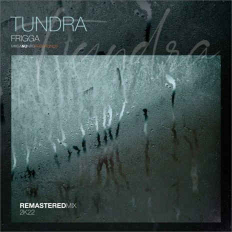 Tundra (2022 Remastered Mix) | Boomplay Music