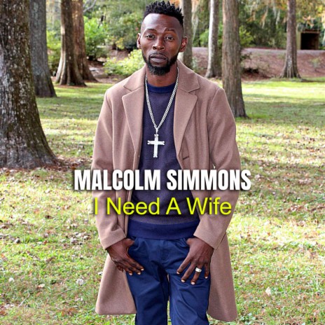 I Need A Wife | Boomplay Music