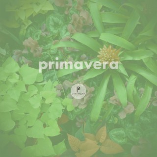 primavera