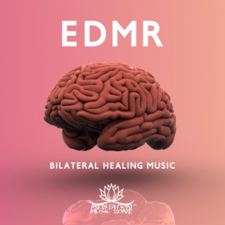 EDMR Bilateral Healing Music: Relieving Anxiety Disorder & Stress