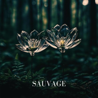 Sauvage lyrics | Boomplay Music