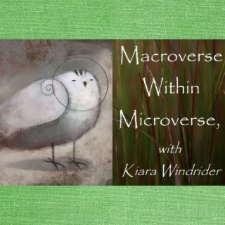 Macroverse within Microverse