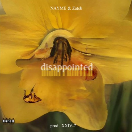 disappointed ft. Zateb