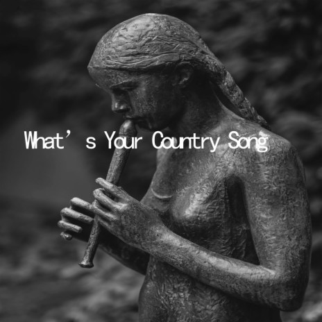 What's Your Country Song