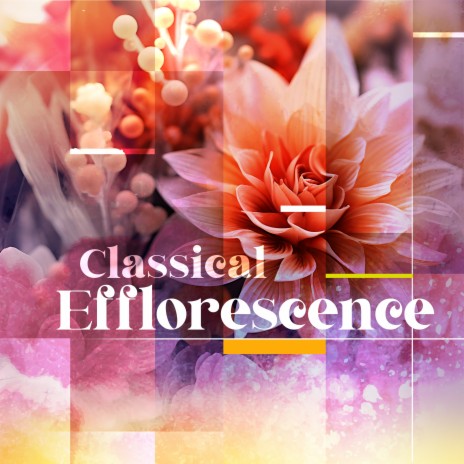 The Four Seasons - Violin Concerto in E Major, RV 269, “Spring”: II. Largo ft. Stanislav Gorkovenko | Boomplay Music