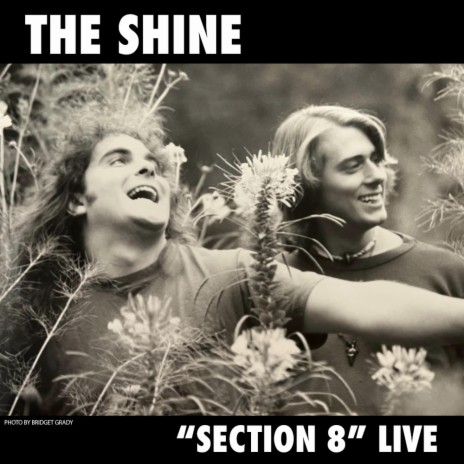 Section 8 (Special Live Version) | Boomplay Music