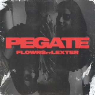 PEGATE