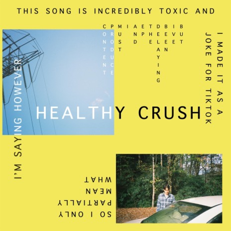 Healthy Crush | Boomplay Music