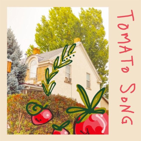 tomato song | Boomplay Music