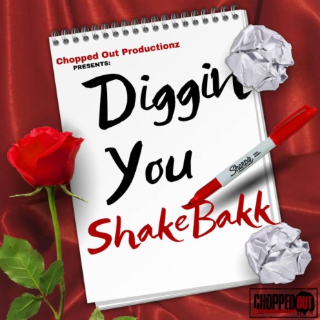 Diggin' You | Boomplay Music