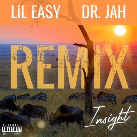 Insight (Remix) ft. Dr. Jah