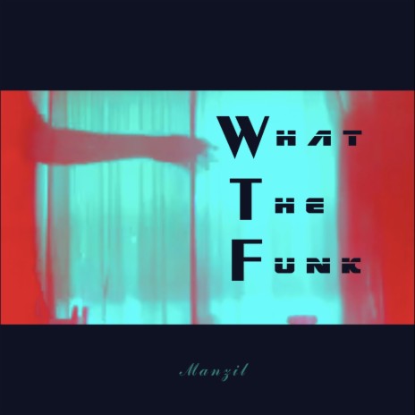 What The Funk | Boomplay Music