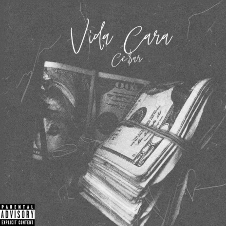 Vida Cara | Boomplay Music