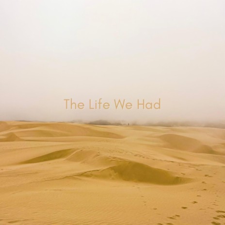 The Life We Had | Boomplay Music