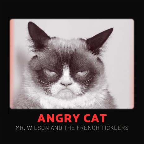 Angry Cat | Boomplay Music