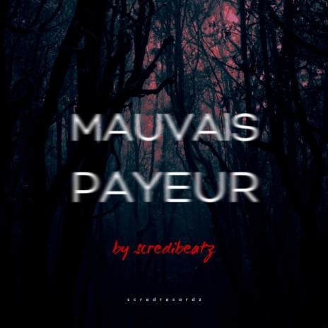MAUVAIS PAYEUR | Boomplay Music