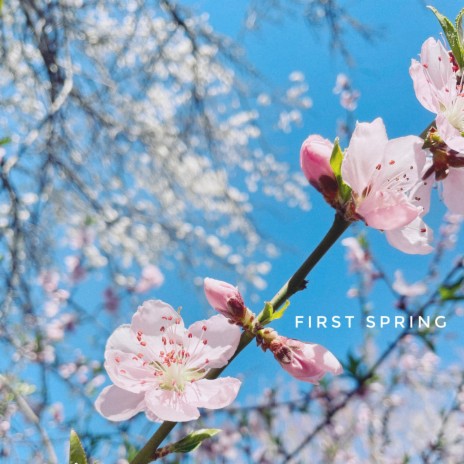 First Spring | Boomplay Music
