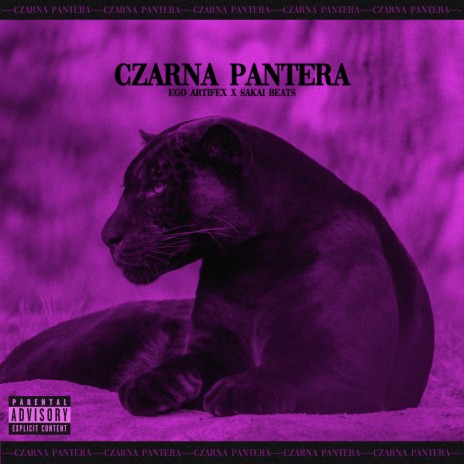 Czarna Pantera ft. Sakai Beats | Boomplay Music