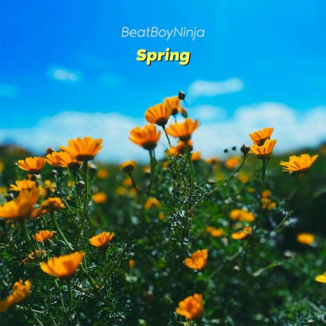 Spring ft. Antonio Vivaldi | Boomplay Music
