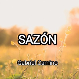 Sazón lyrics | Boomplay Music