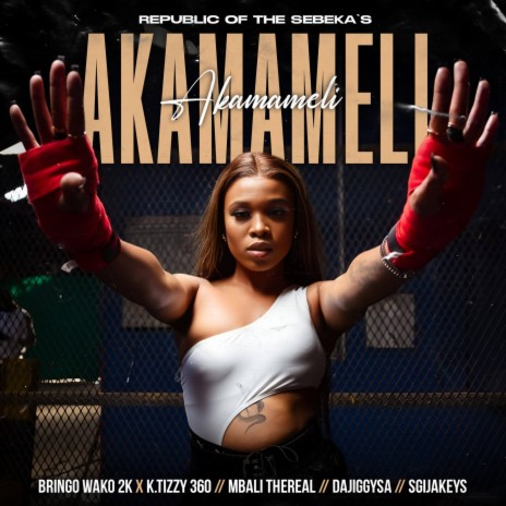 AKAMAMELI ft. Mbali the real, DajiggySA, K.Ttizzy 360 & Sgijakeys | Boomplay Music
