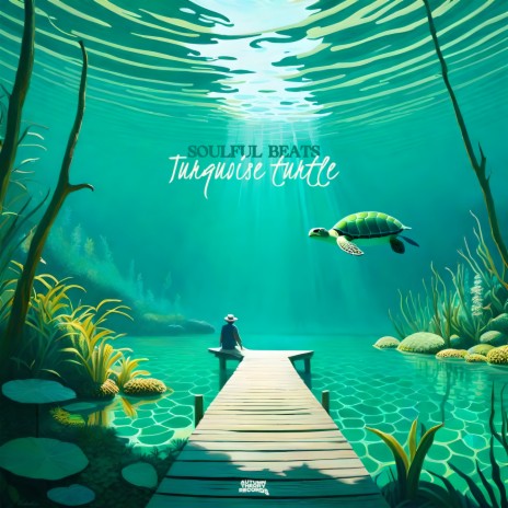 turquoise turtle | Boomplay Music