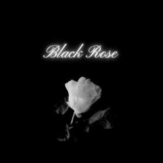 Black Rose