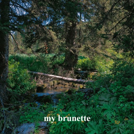 my brunette | Boomplay Music
