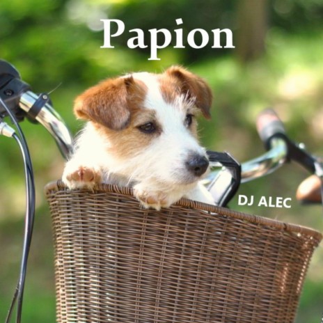 Papion | Boomplay Music
