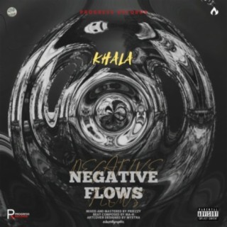 Negative Flows