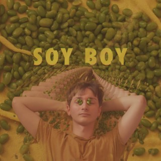 Soy Boy