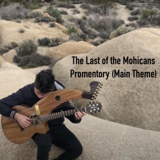 The Last of the Mohicans (Harp Guitar)