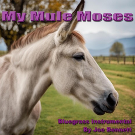 My Mule Moses