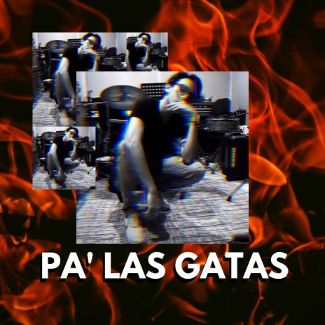 Pa las Gatas | Boomplay Music