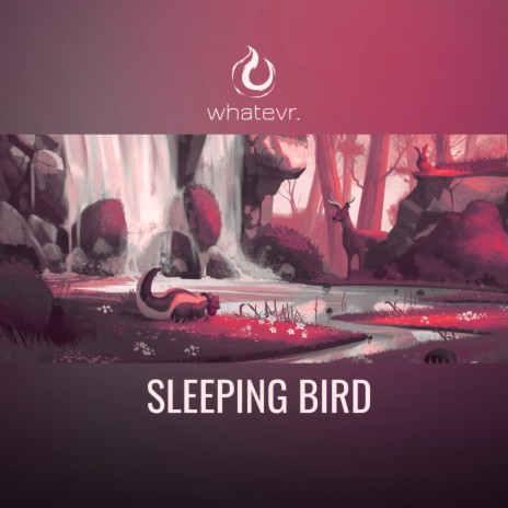 sleeping bird ft. Funcc. | Boomplay Music