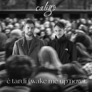 è tardi (wake me up now) lyrics | Boomplay Music